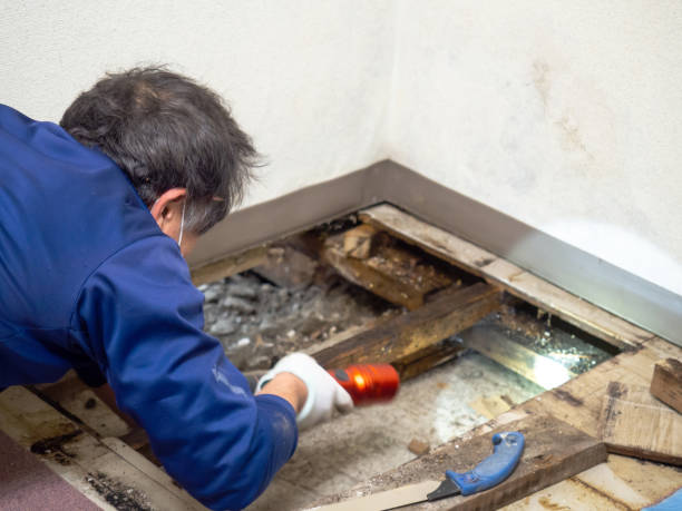 Best Bathroom Mold Remediation in Charlotte, MI