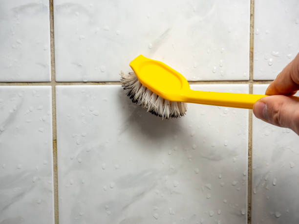 Best Residential Mold Remediation in Charlotte, MI