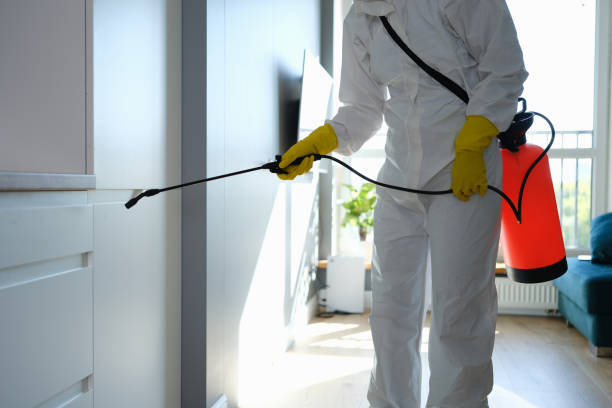 Best Industrial Mold Remediation in Charlotte, MI