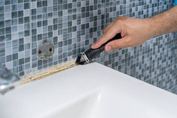 Best Preventive Mold Services in Charlotte, MI