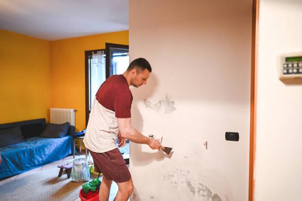 Best Kitchen Mold Remediation in Charlotte, MI